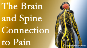 Gormish Chiropractic & Rehabilitation shares at the connection between the brain and spine in back pain patients to better help them find pain relief.