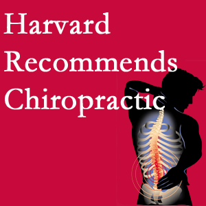 Gormish Chiropractic & Rehabilitation offers chiropractic care like Harvard recommends.