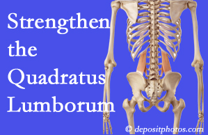 Carrolltown chiropractic care offers exercise recommendations to strengthen spine muscles like the quadratus lumborum as the back heals and recovers.