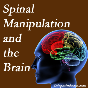 Gormish Chiropractic & Rehabilitation [presents research on the benefits of spinal manipulation for brain function. 
