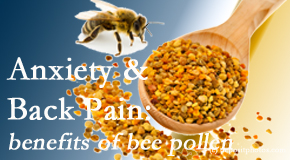 Gormish Chiropractic & Rehabilitation presents info on the benefits of bee pollen on cognitive function that may be impaired when dealing with back pain.