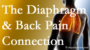 Gormish Chiropractic & Rehabilitation knows the relationship of the diaphragm to the body and spine and back pain. 