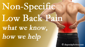 Gormish Chiropractic & Rehabilitation describes the specific characteristics and treatment of non-specific low back pain. 