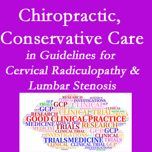 Carrolltown chiropractic care for cervical radiculopathy and lumbar spinal stenosis is often ignored in medical studies and guidelines despite documented benefits. 