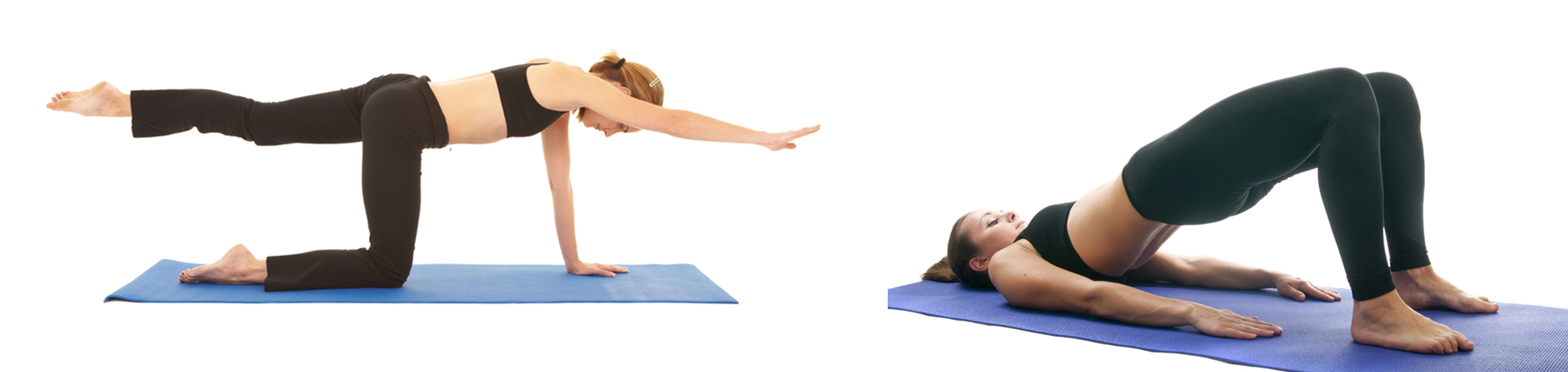 Carrolltown chiropractic exercise to strengthen multifidus 