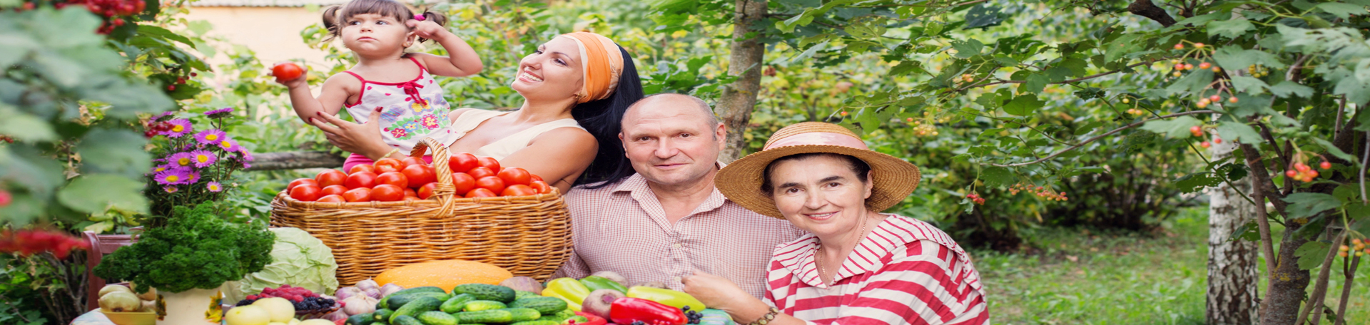  Carrolltown chiropractic summer health tips