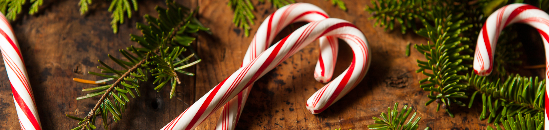 Peppermint for Carrolltown Cognition & Appetite Regulation!