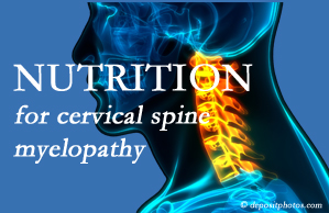 Gormish Chiropractic & Rehabilitation shares the nutritional factors in cervical spine myelopathy in its development and management.