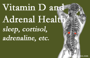 Gormish Chiropractic & Rehabilitation shares new studies about the effect of vitamin D on adrenal health and function.